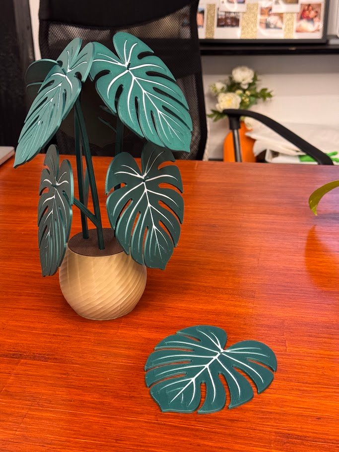 Posavasos Monstera